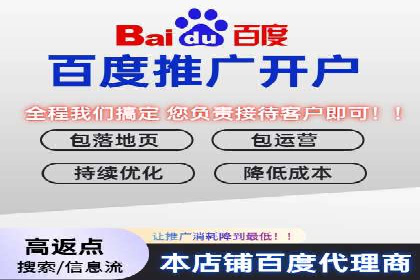 竞价排名优化策略案例分析