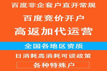 电商平台信息流广告的创意与优化：成功案例分析
